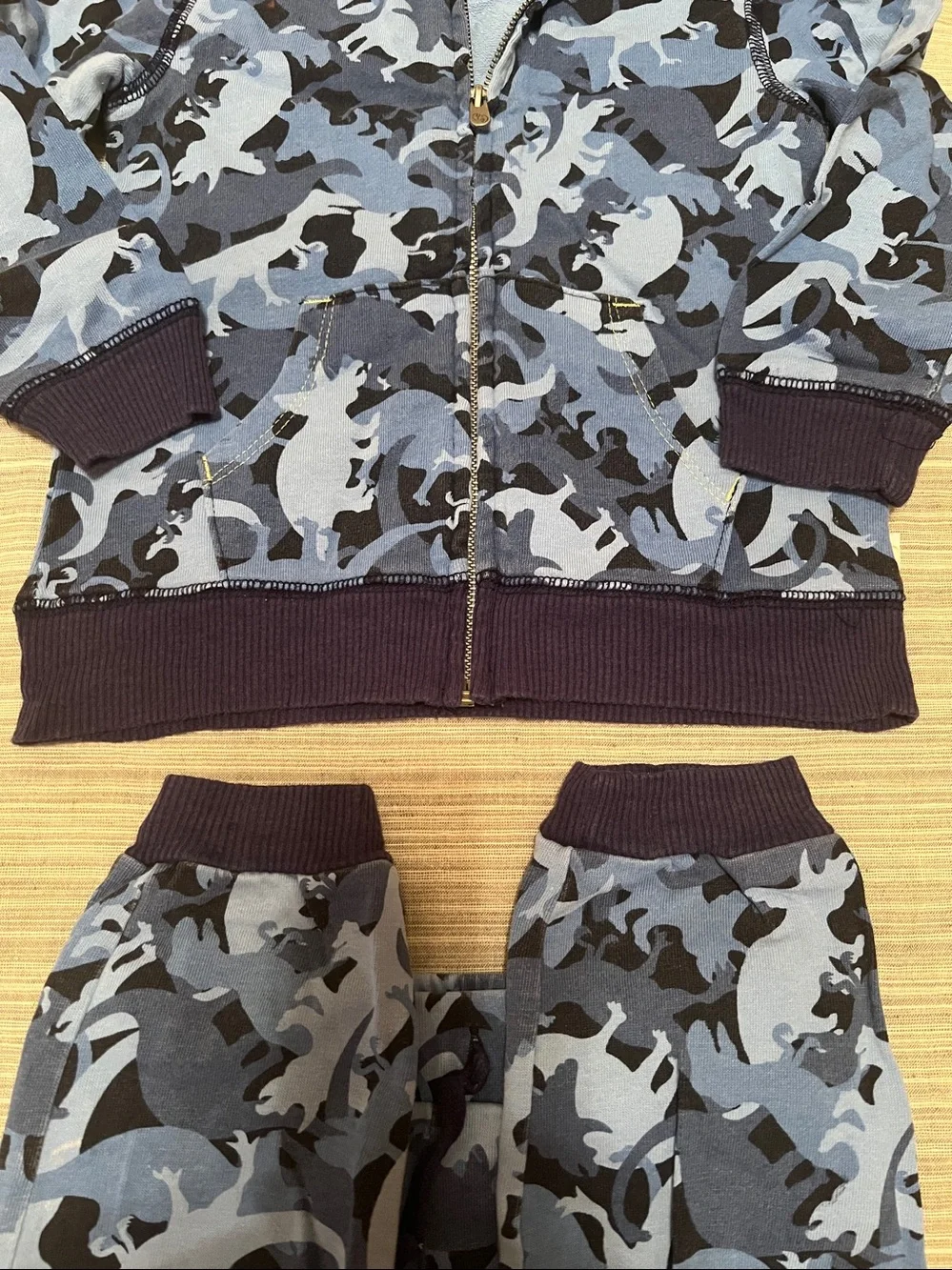 Flapdoodles Hoodie and Sweatpants Set